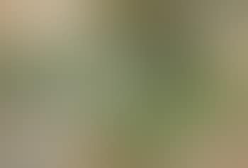View from Turku (preview)