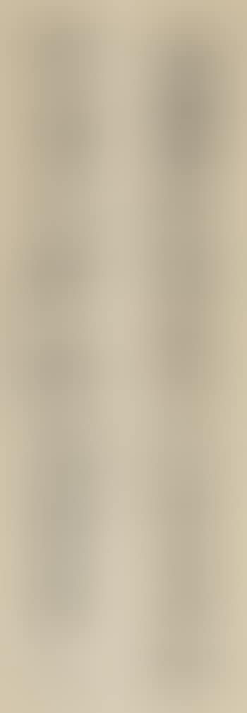 Nine-character Couplet In Clerical Script (preview)