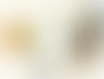 Paragraph III (preview)