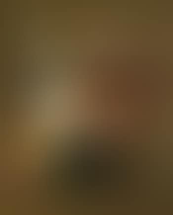 Fleurs Diverses (preview)