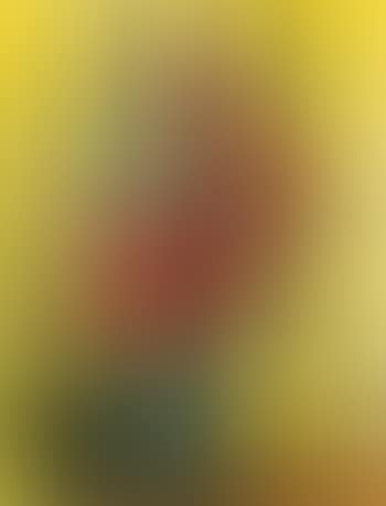 Camelia (preview)
