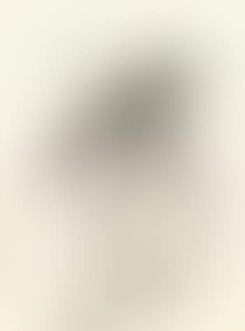 Chouette (preview)