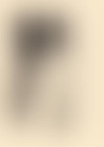 Mors Syphilitica (preview)