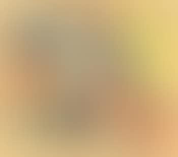 Erlegung Des Festbratens (preview)