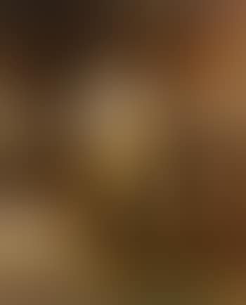 Der Cellospieler (preview)