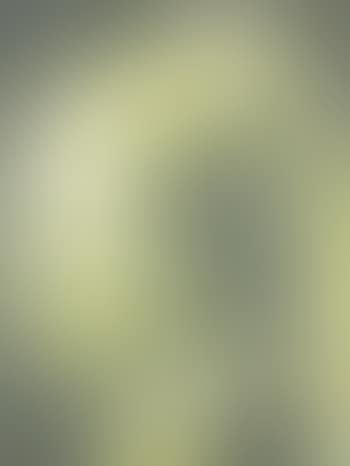 Vermeer Numerise (preview)