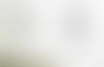 Untitled (Silver Diptych) (preview)