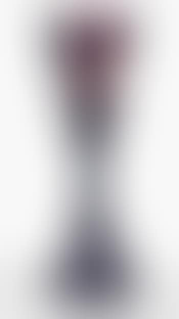 Raisins Vase (preview)