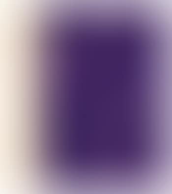 Fassade (preview)