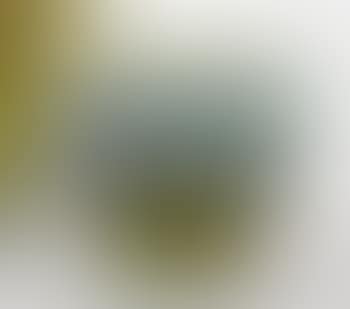 A Rare 'Agate' Bowl (preview)