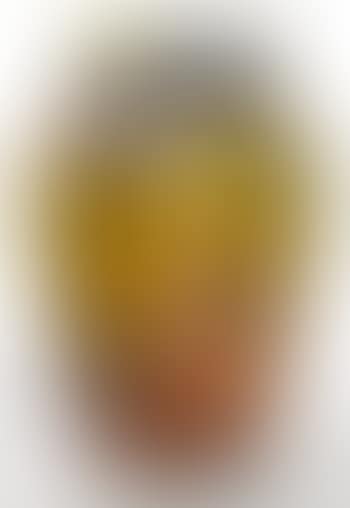 Decorated Vase (preview)