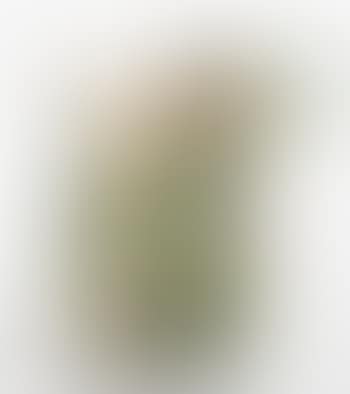 An Early Handled Vase (preview)