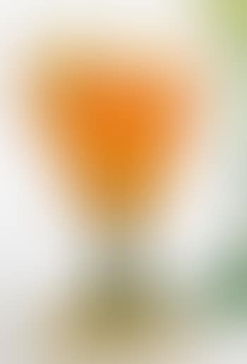Floriform Vase (preview)