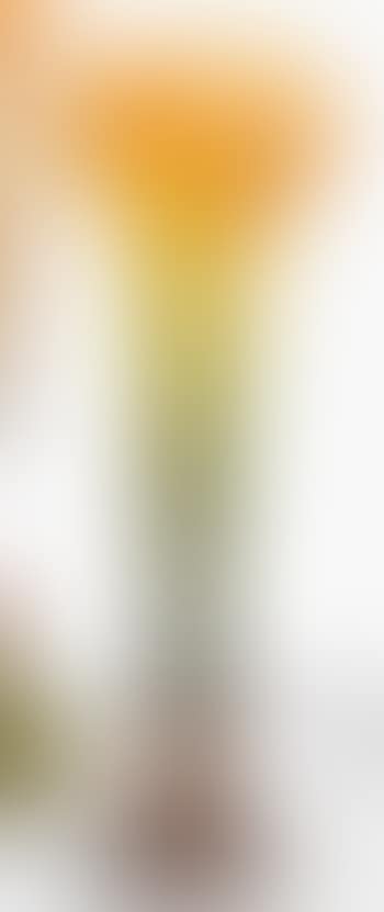 Wildflowers Vase (preview)