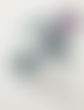 Framboisier (Raspberry Bush) (preview)