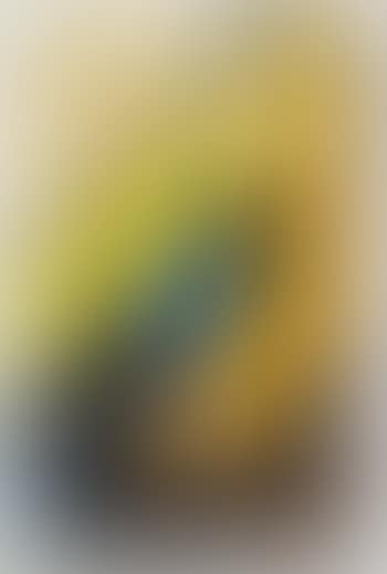 Aimant (preview)