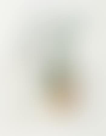 Poire Don Quichotte (Don Quixote Pear) (preview)