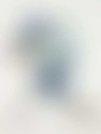 Prunier hâtif (Hasty Plum) (preview)