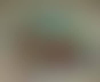 Stillleben mit Kirschen (preview)