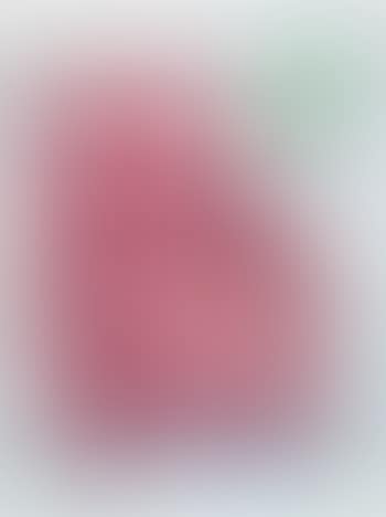 Red Leather Chair (preview)