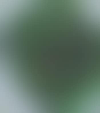 Lake of green (preview)