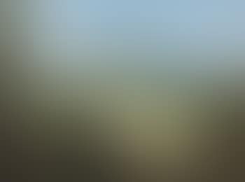 An extensive wooded landscape with a shepherd and his flock, a ruined tower and city beyond (preview)