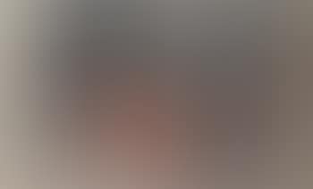 Red earth forest (preview)