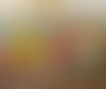 Hoardings (preview)