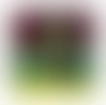 Sitting Figure (preview)