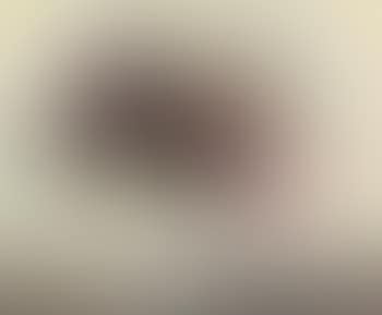 Flowers in a white pot (preview)