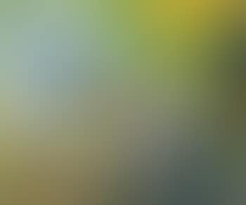 Flowers against yellow (preview)