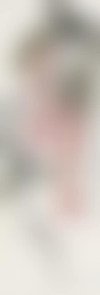 Vine Flowers (preview)
