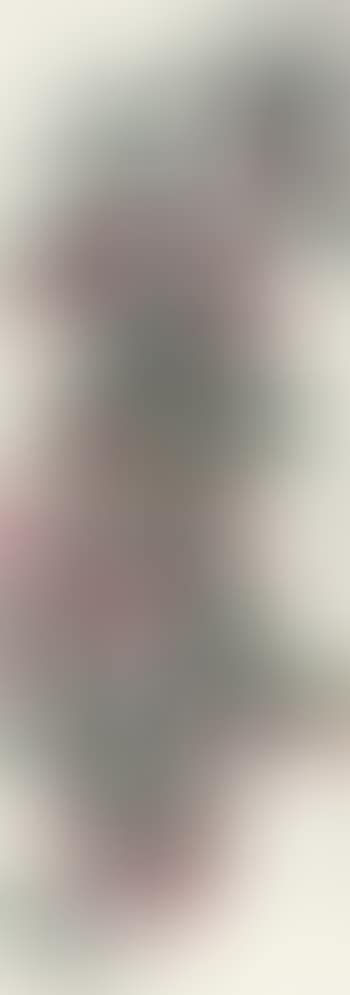 Litchi (preview)