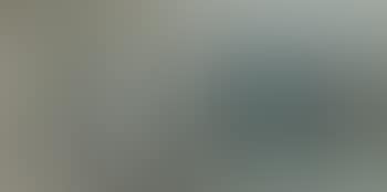 Birds (preview)