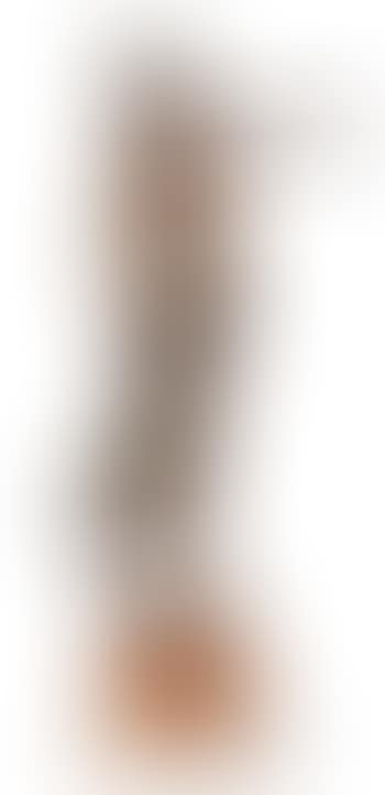 Dansös (preview)