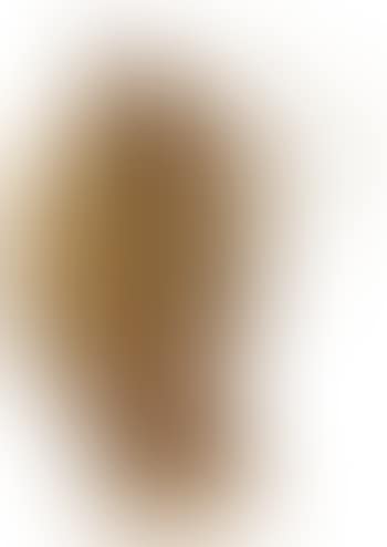 Visage stylisé (preview)