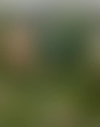 Le jardinier (preview)