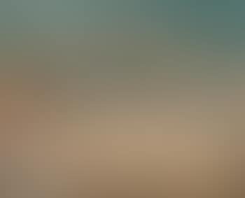 Paysage (preview)