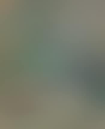 Paysage (preview)