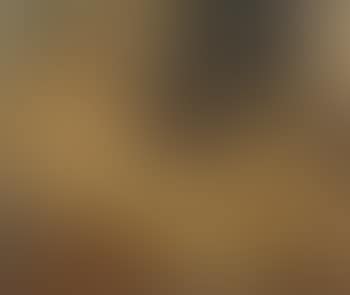Nude With Drapery (preview)