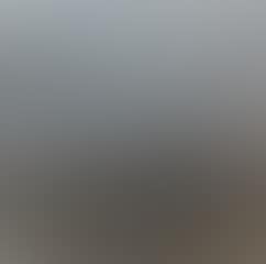 Landscape (preview)