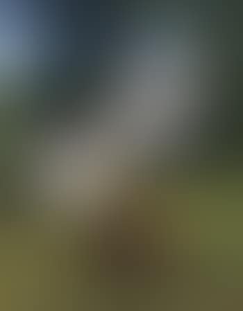 Ira's Piece (preview)