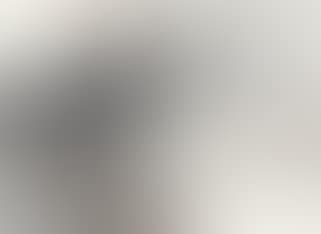 Landscape (preview)