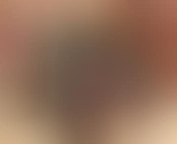 Rote Tulpen (preview)
