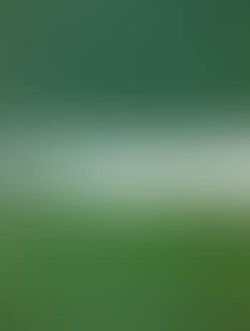 View (preview)