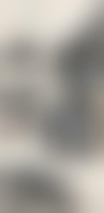 Landscape (preview)