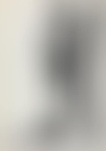 Study of an African-American (preview)