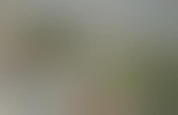 Französische Landschaft (preview)
