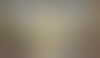 View of the Taj Mahal (preview)
