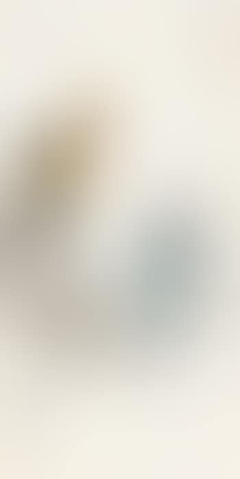Figures (preview)